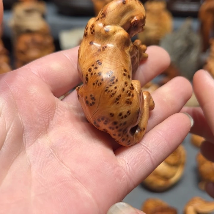 柏木（崖柏）点点关注