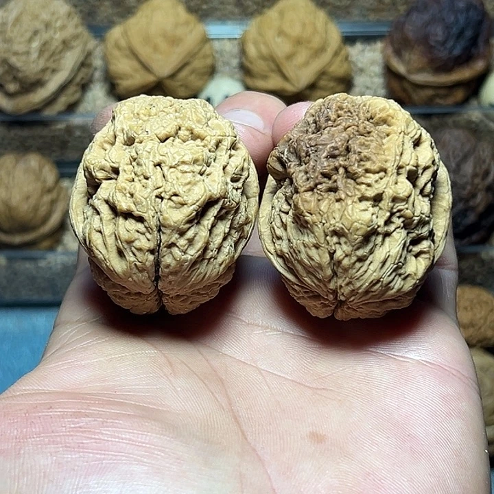 把件文玩核桃41号金刚佛手45尺