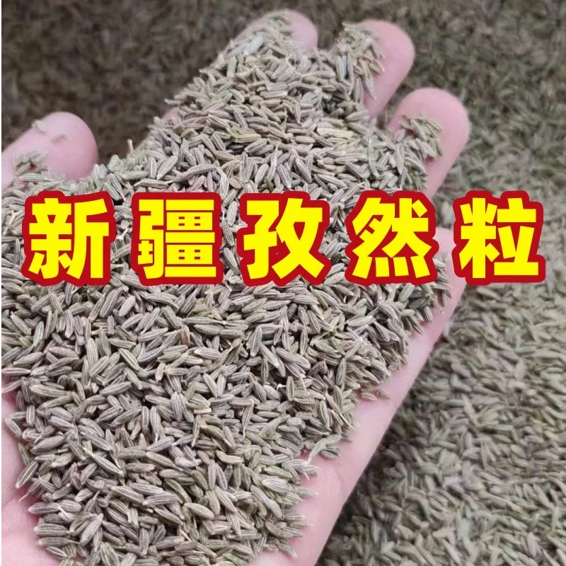 孜然粒新疆孜然正宗新疆孜然香料烧烤羊肉串撒料孜然颗粒