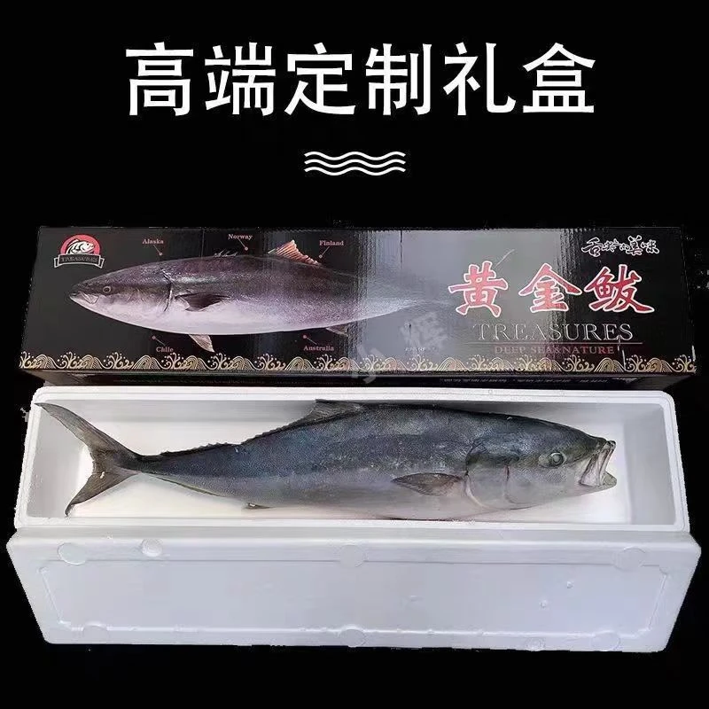山东大号鲜黄金鲅鱼(顺丰京东包邮发货)7斤—23斤锁鲜