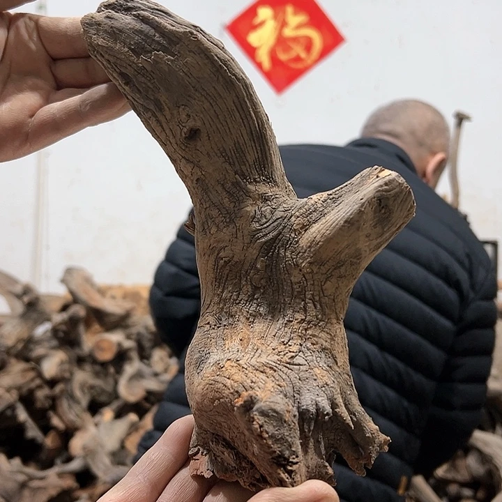 柏木弓**就我们的生活也是如此吧