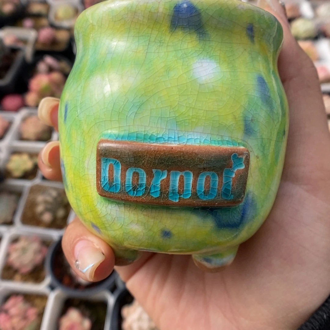 橘***糖只要盆675号。