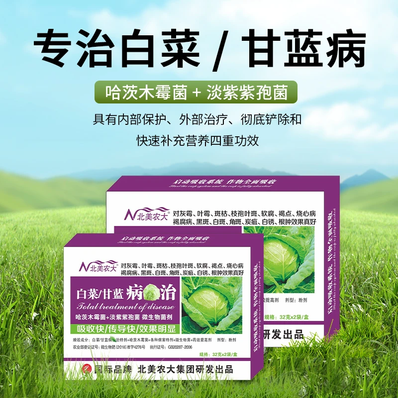 白菜甘蓝病害防控灰霉叶霉斑枯枝孢叶斑软腐褐点烧心褐腐黑斑炭疽