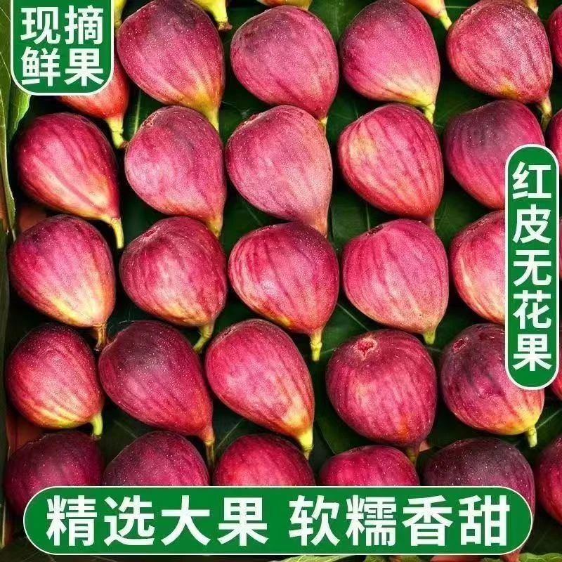 【软糯清甜】27山东波姬红无花果 孕妇天然黄体酮