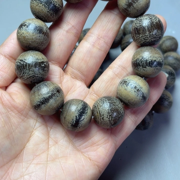 大果紫檀（缅甸花梨）