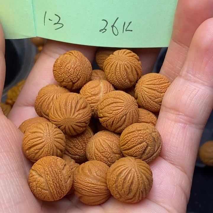 辽***心桃核吊坠秦岭龙纹桃核13