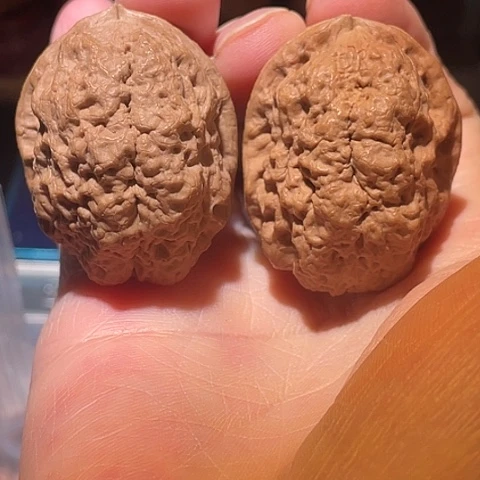 文玩核桃把件大理卧龙带彩36+