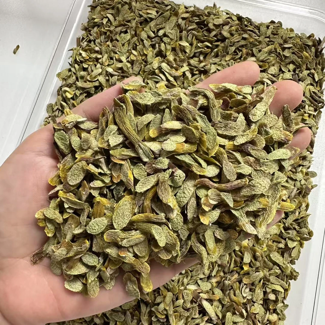 正宗铁皮石角斗片