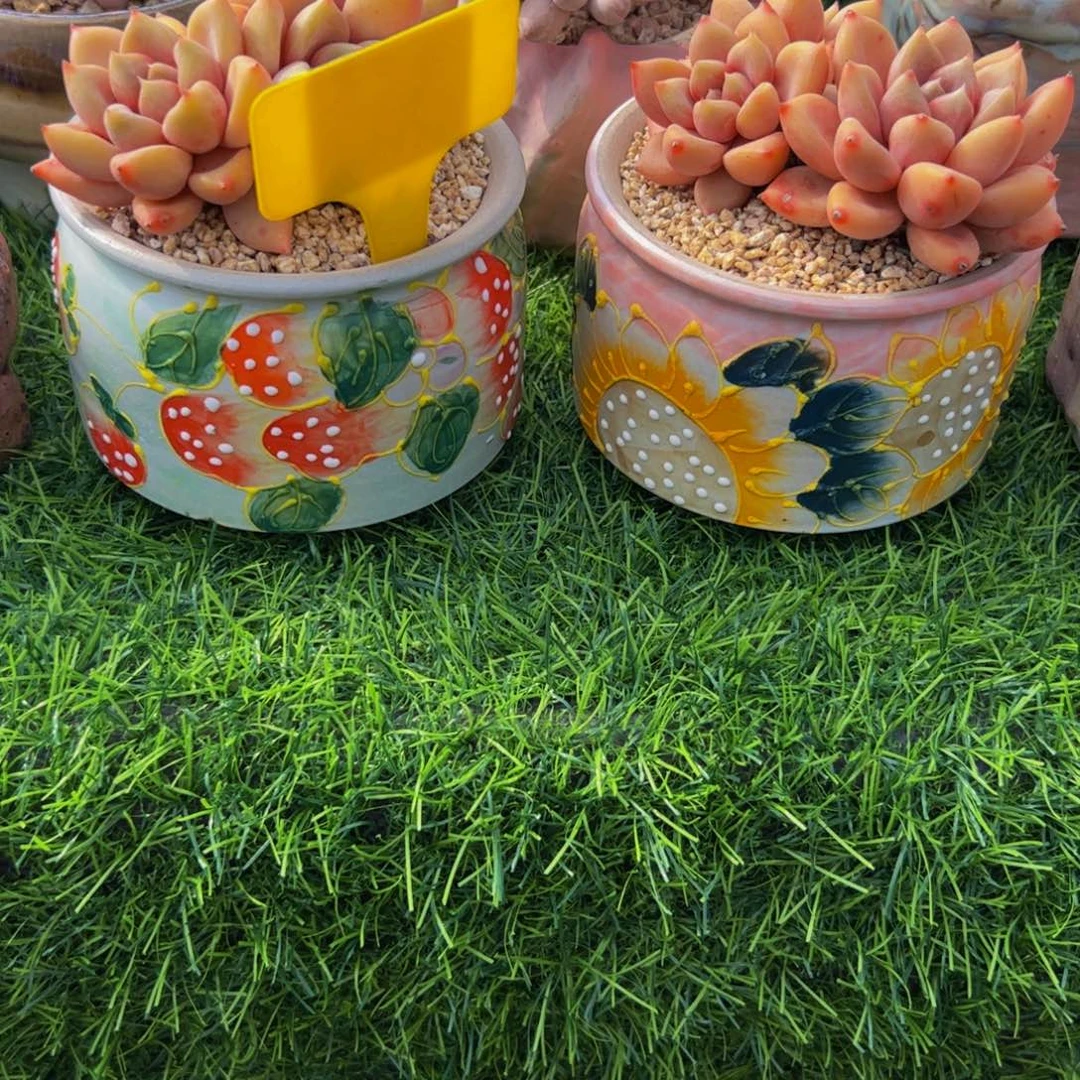 三***子两个盆的价格