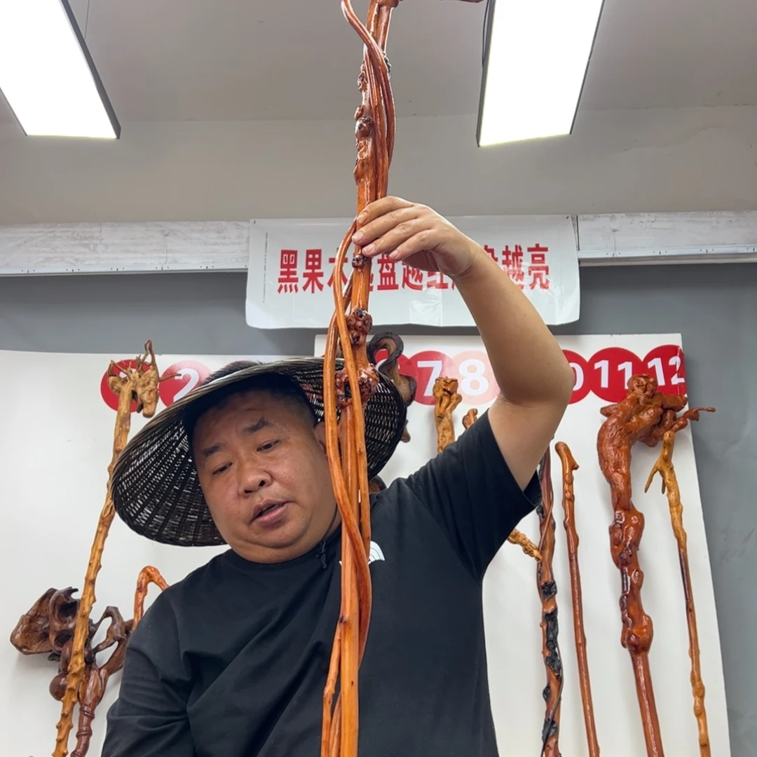 海***黑果木其他黑果木995