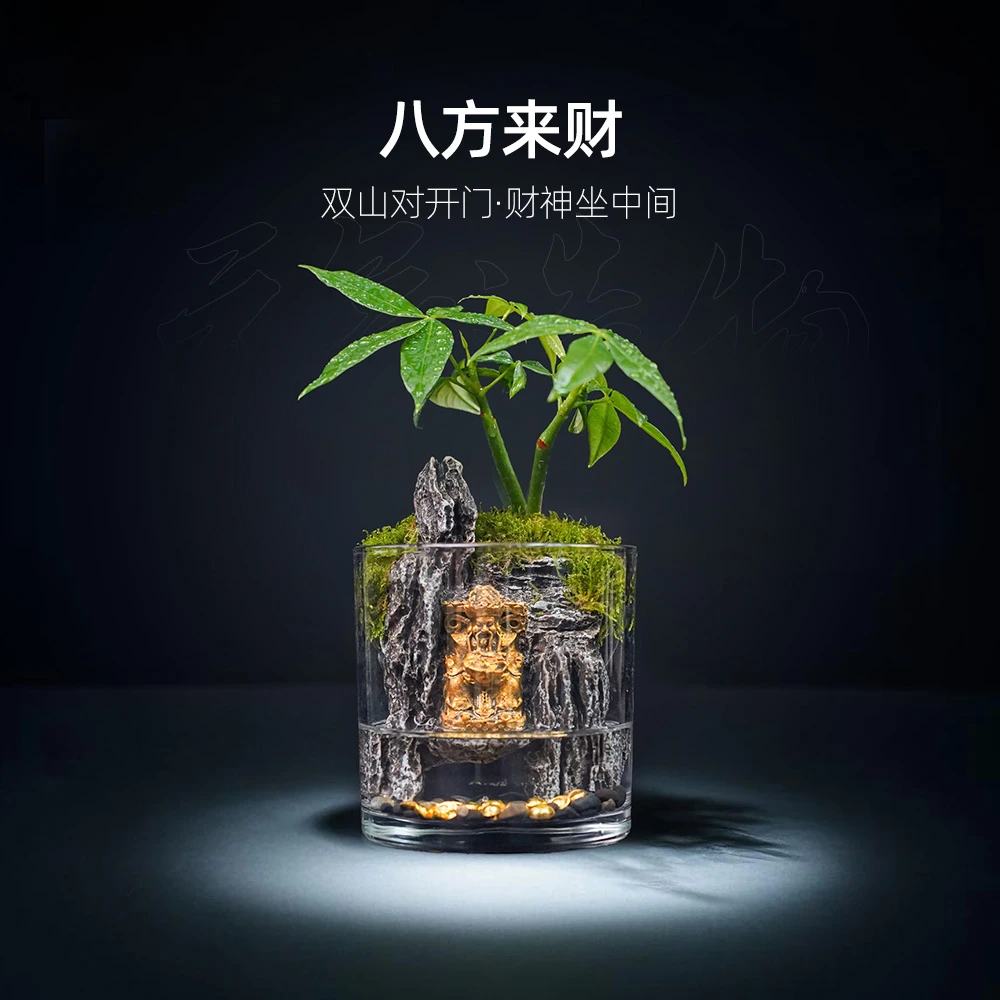 【雾隐】八方来财—发财树绿植桌面山水造景真植物【缸体尺寸：10*10】