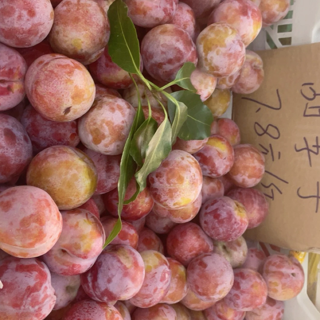 甜李子：15元2斤，外皮紫色，里面红色，甜口好吃