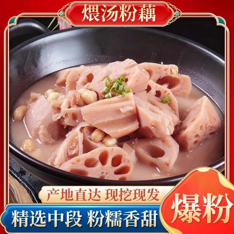 湖北洪湖新鲜现挖煲汤粉藕糯米藕正宗粉藕特产精选中段
