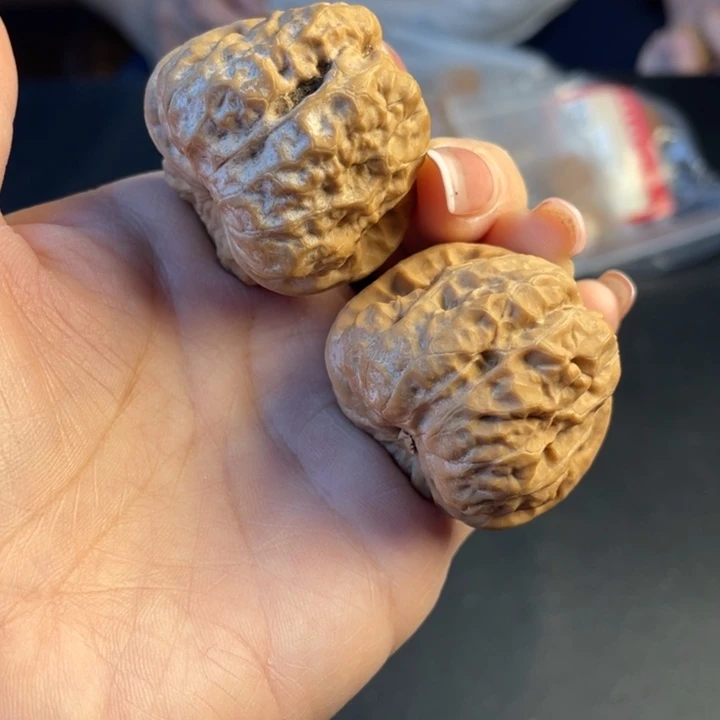 文玩核桃把件蛙蛙20