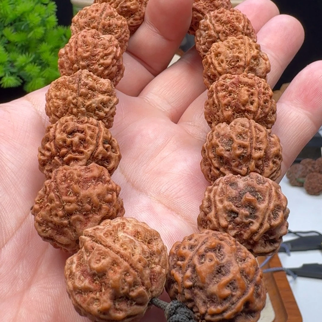 手串金刚菩提细纹蜂窝双龙
