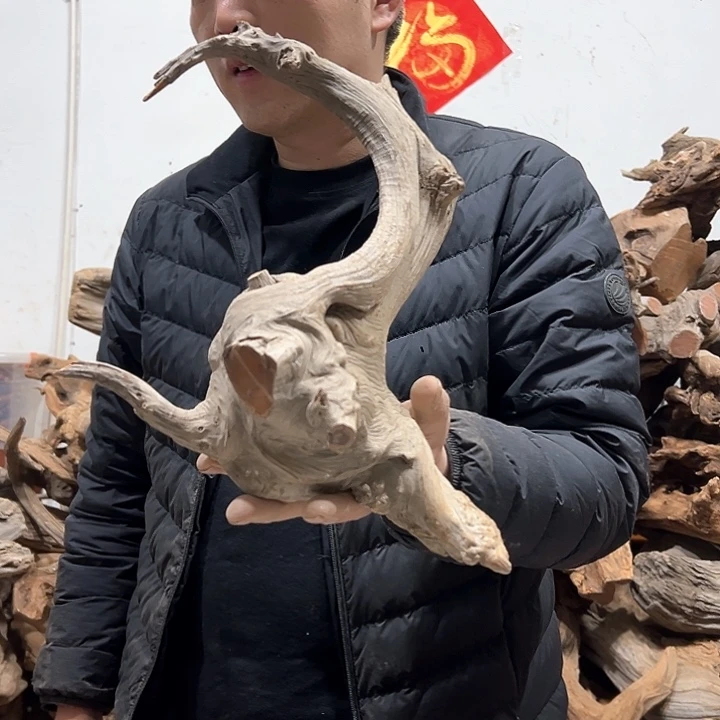 柏木?*我们都是好孩子呀我