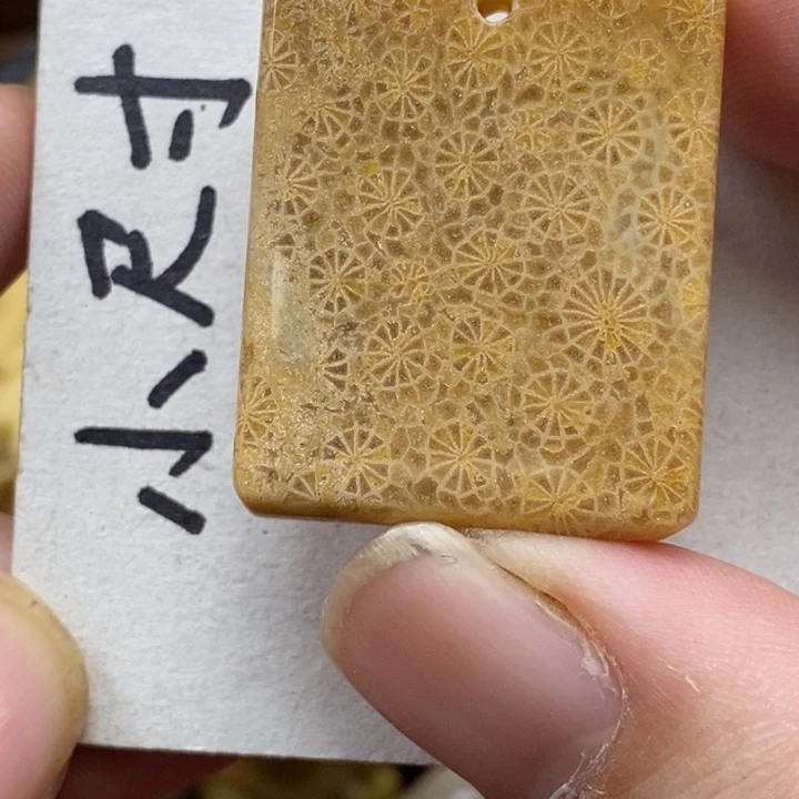 硅化珊瑚（珊瑚玉）未镶嵌颈饰