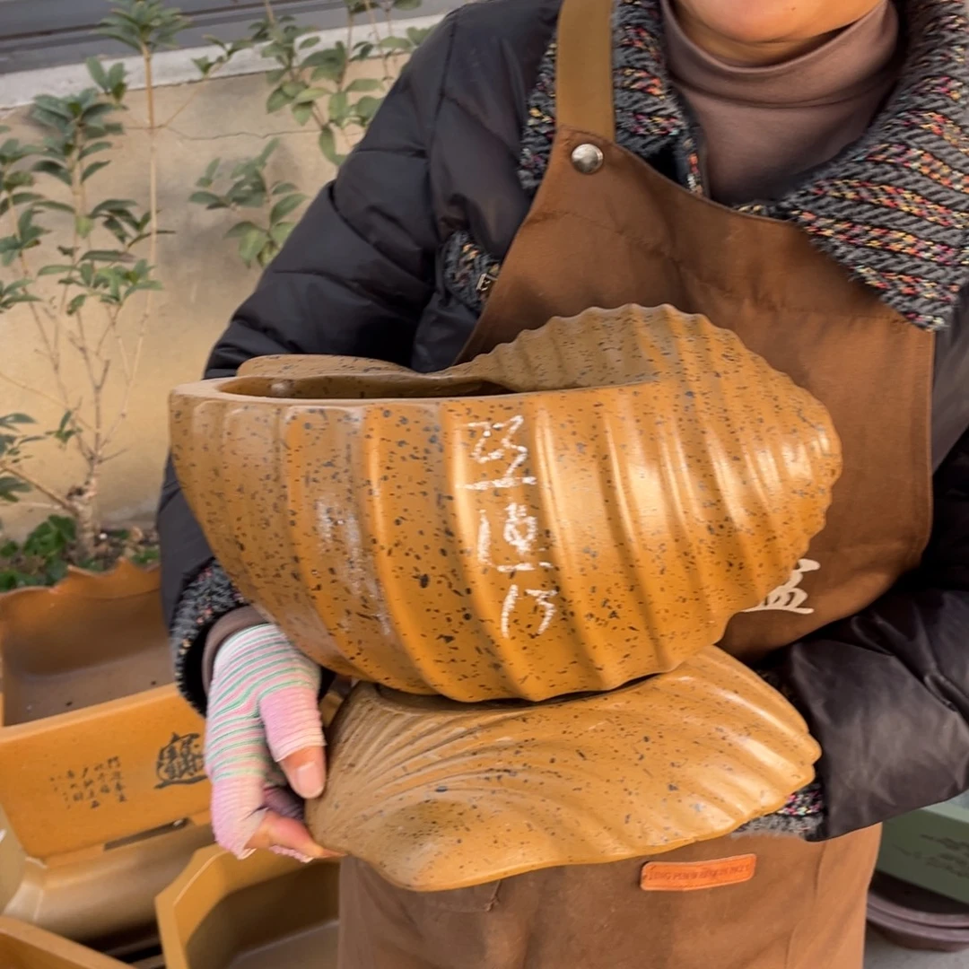 紫砂花盆盆景艺术