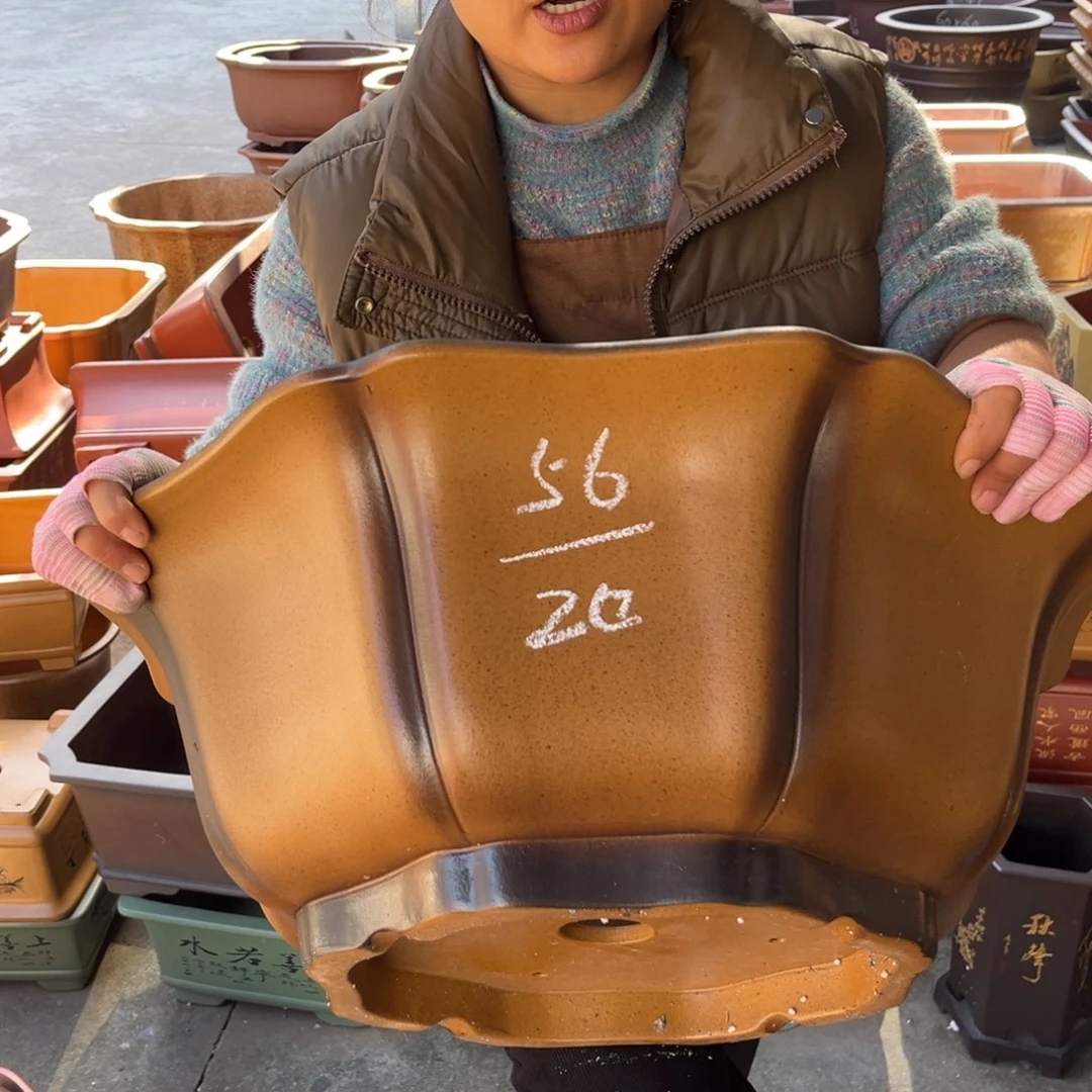 紫砂花盆盆景艺术