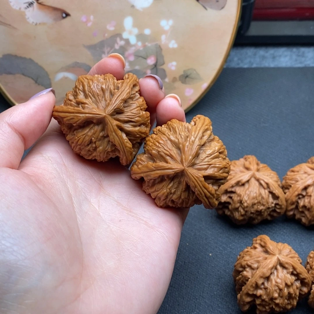 天****?白狮子11111111111