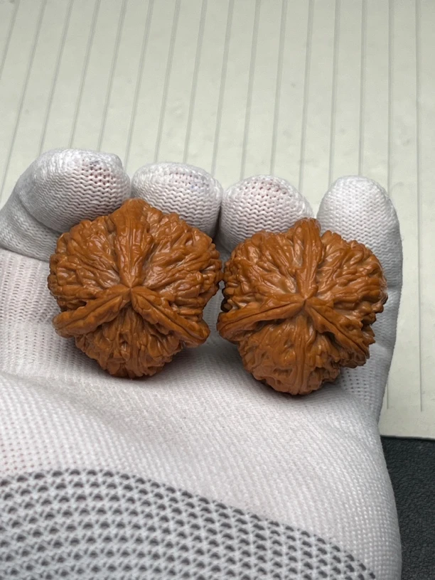 文玩核桃白狮子三棱