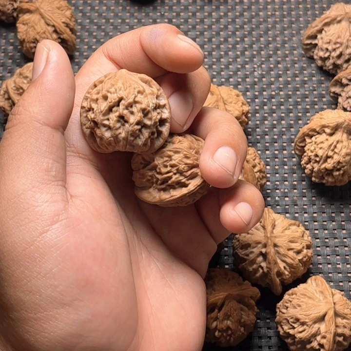 文玩核桃把件?核王