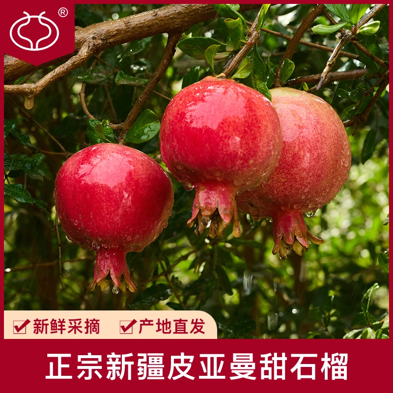 皮亚曼【顺丰包邮】新疆皮亚勒玛正宗香甜硬籽石榴和田新鲜应季水果