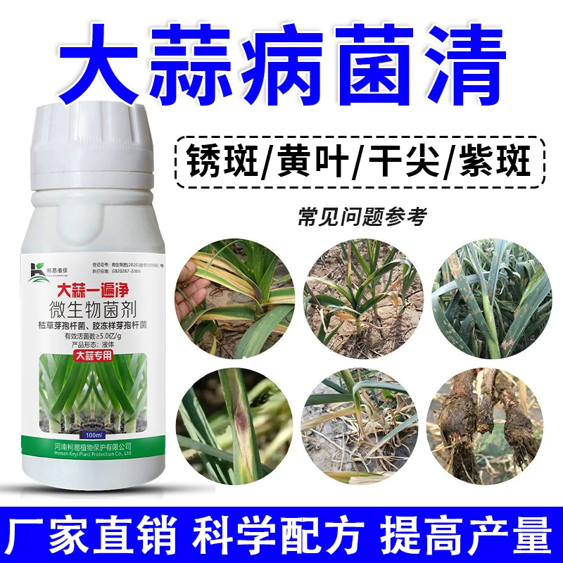 大蒜一遍净大蒜干尖黄叶锈斑根腐白绢大蒜紫斑增产正品微生物菌剂