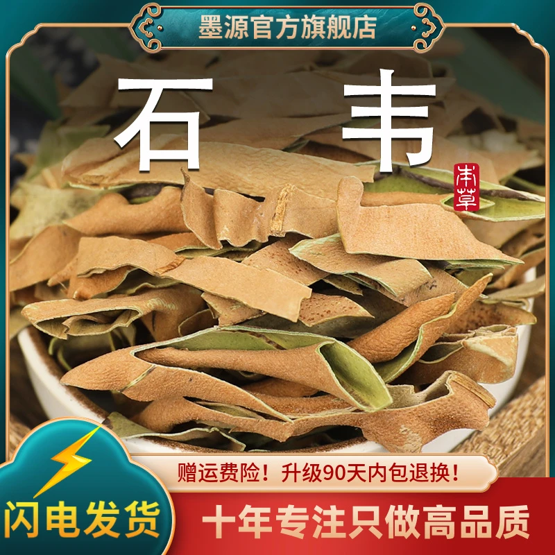 石韦中药材新鲜石苇草石韦草石韦茶石伟草石兰非野生干货打石韦粉