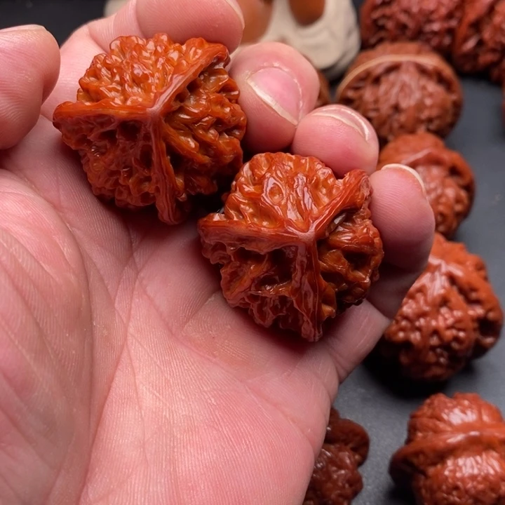 核桃三棱核桃12345