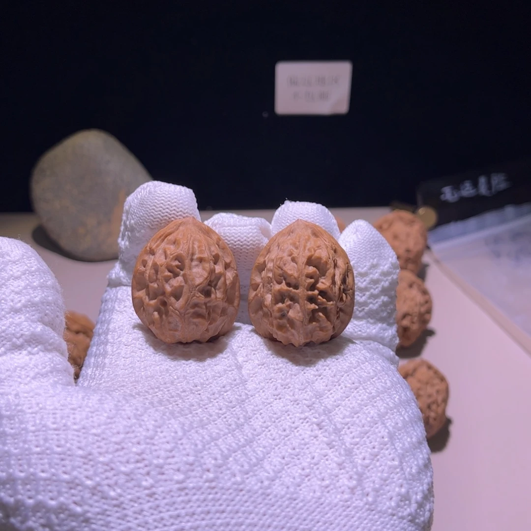 文玩核桃吊坠37野生元宝