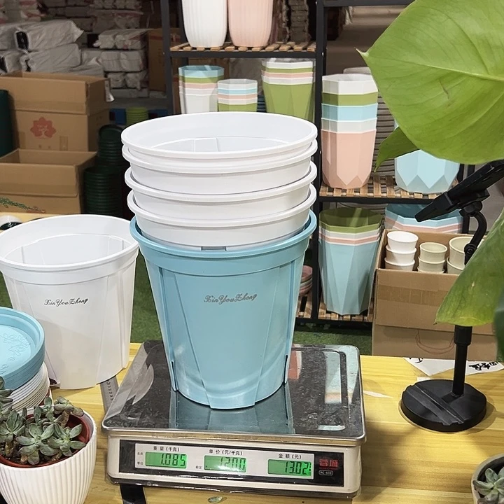 青山口24高24混色4只无托