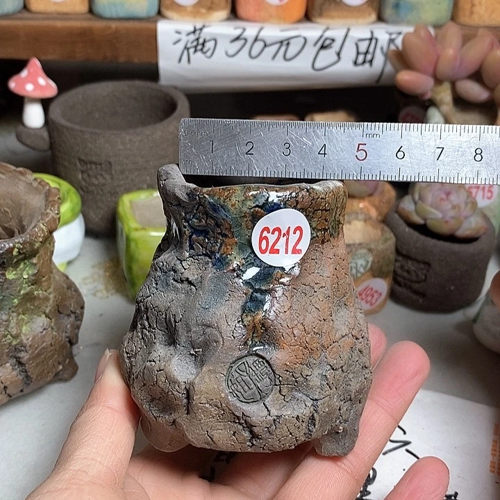 红陶拍5送一个小