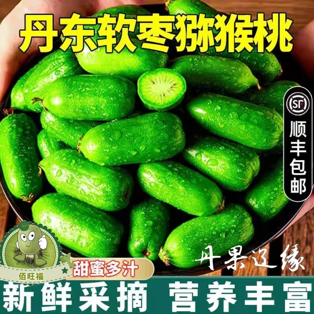 丹东软枣猕猴桃龙成2号软枣子东北圆枣子奇异果营养软糯香甜果香