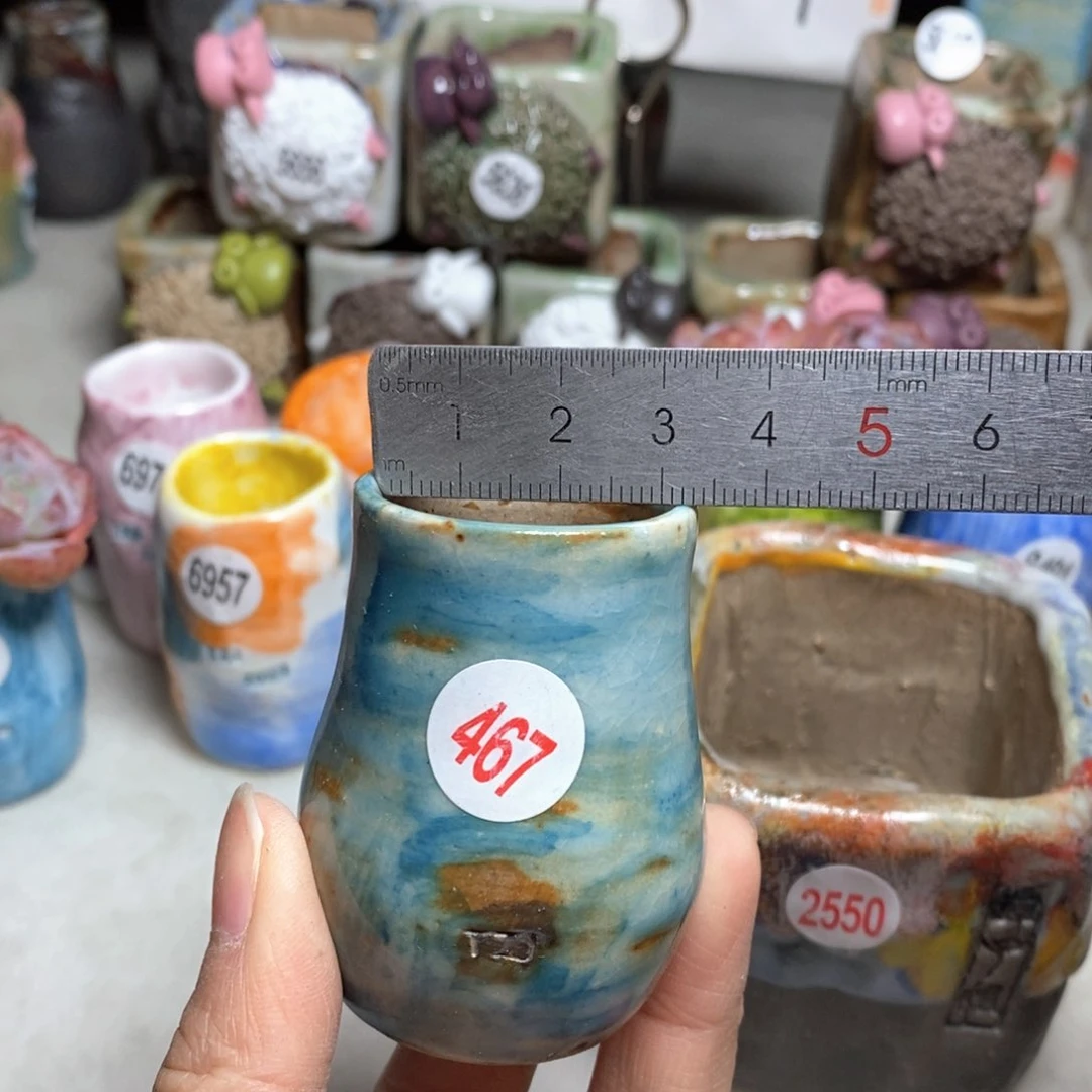 拍5送一个小礼物