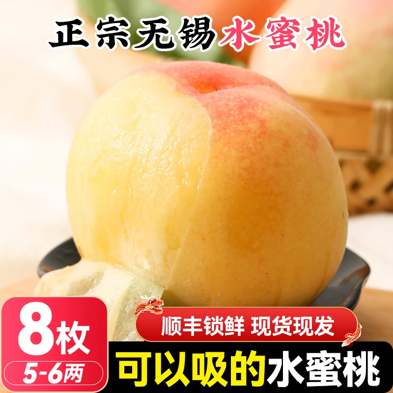 【福利专享】5-6两 8枚 正宗无锡水蜜桃新鲜水果当季礼盒整箱顺丰包邮江苏省