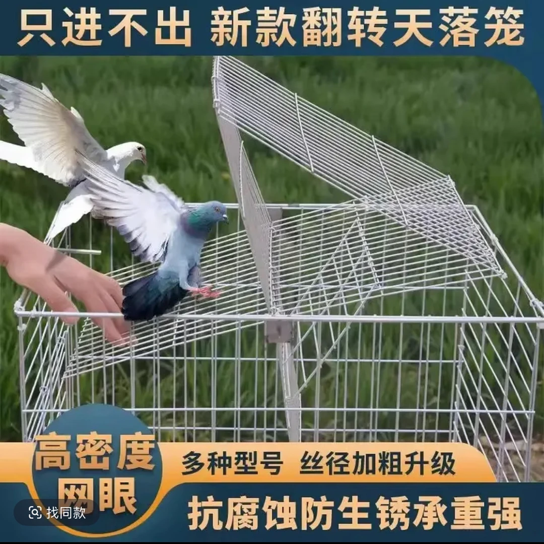 新款鸽笼升级版DIY拼装旋转安装翻板46镀锌35网孔厘米