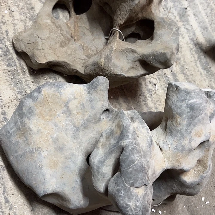 哈哈哈哈哈哈哈哈哈哈