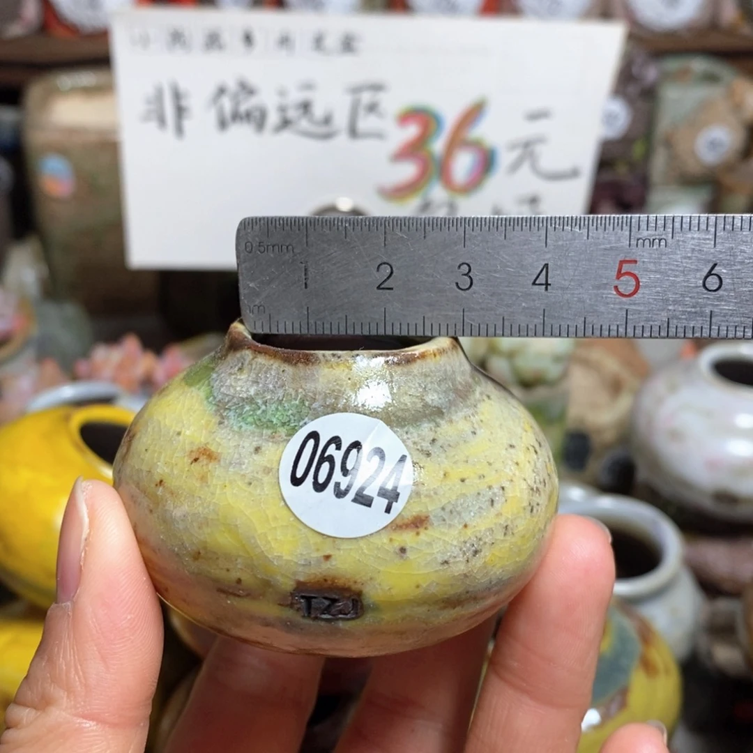 花盆拍5送一个小礼物