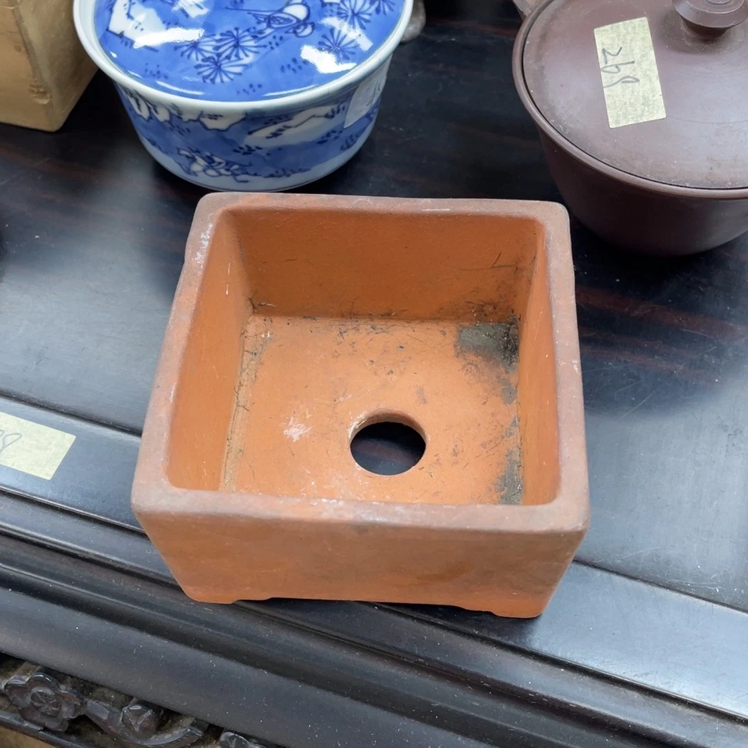 小花盆新店开业福利多多