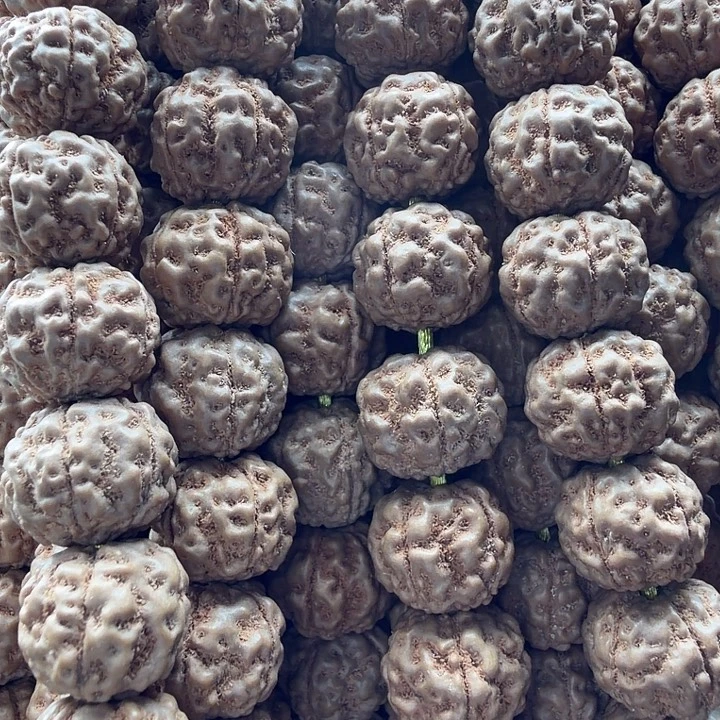 吊坠金刚菩提跳跳龙11-12