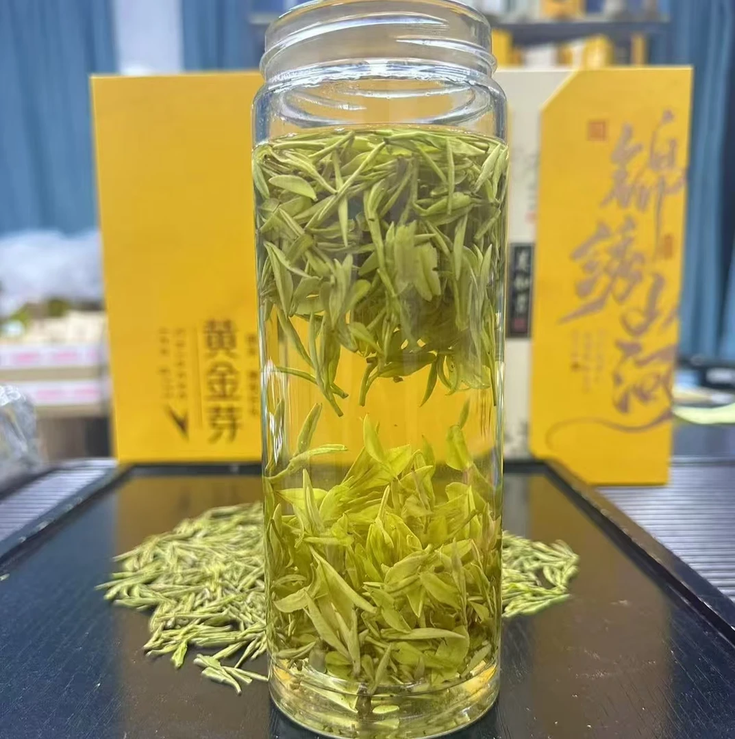 特级安吉白茶黄金芽