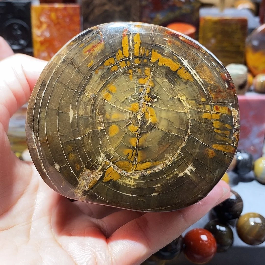 未镶嵌天然北票硅化玉原石硅化玉