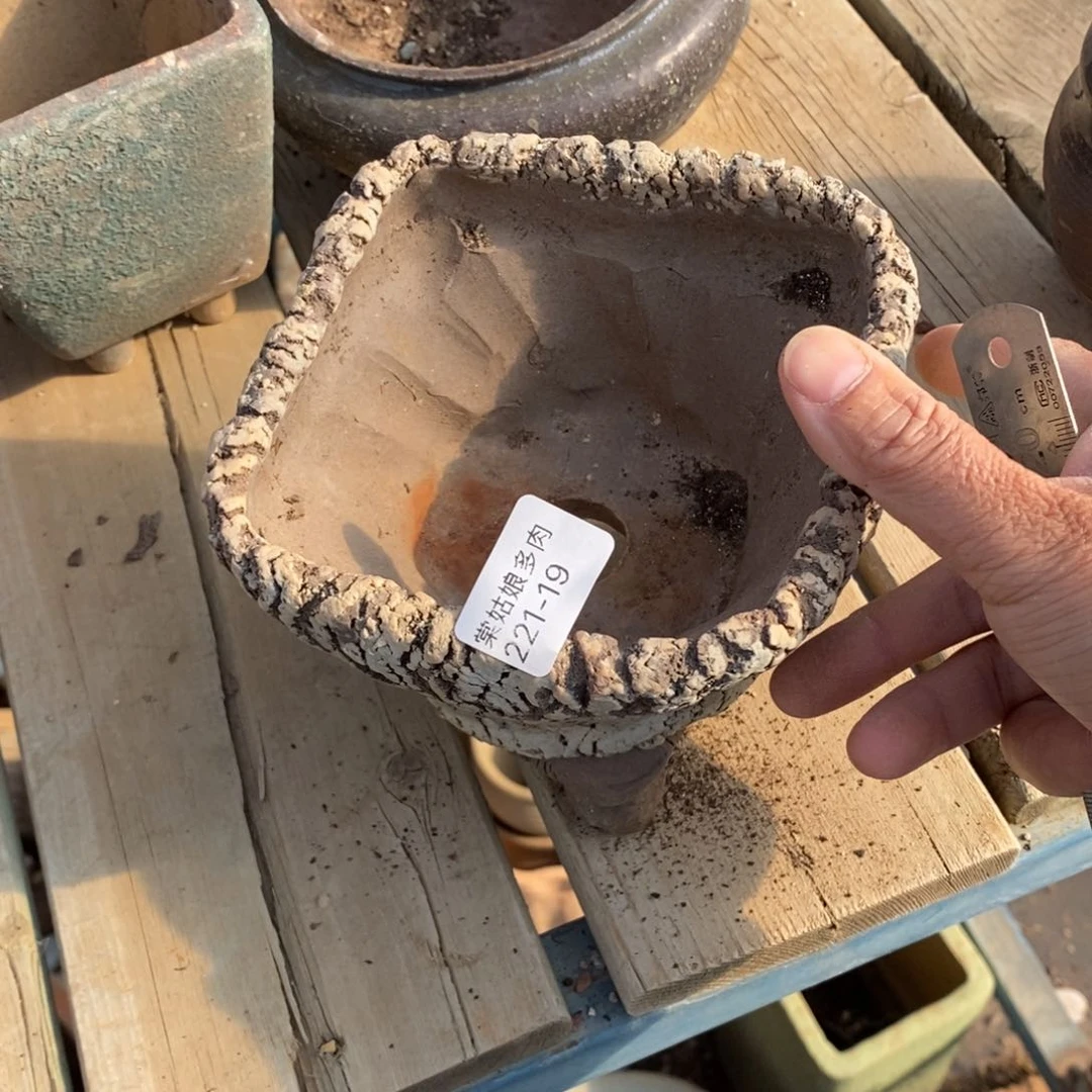 红陶?****?19号多肉盆一个呀