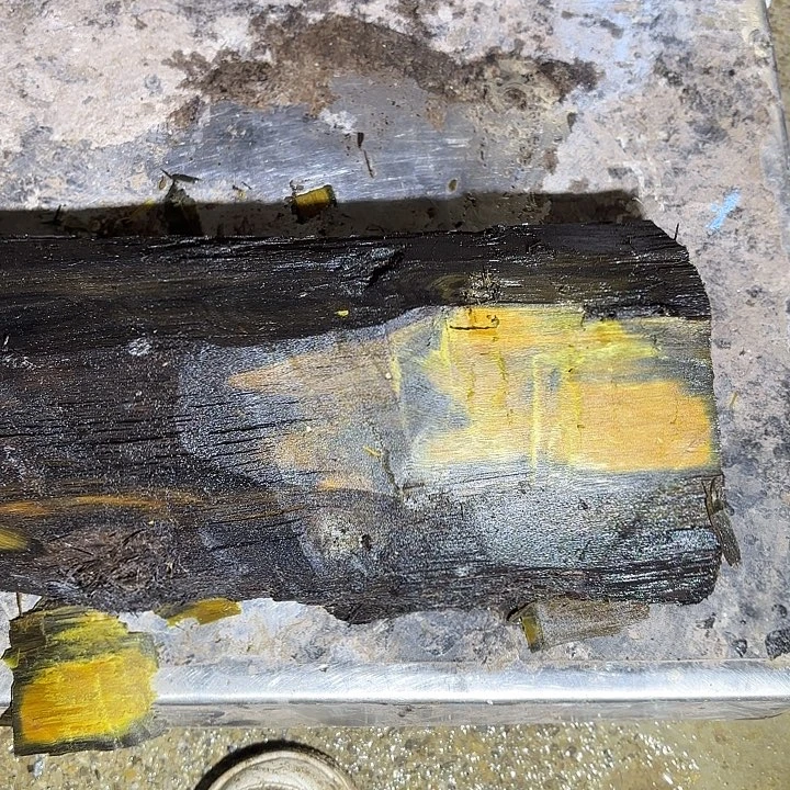 你****金丝楠啊啊啊啊啊啊啊