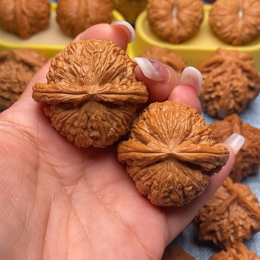 文玩核桃把件毕业白狮子43.8尺全品