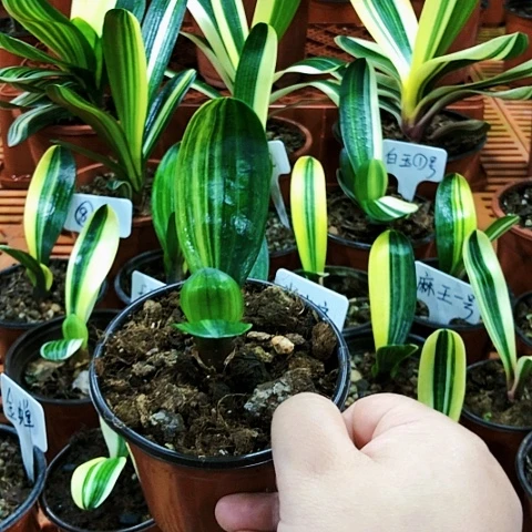 【闪购商品】用****4