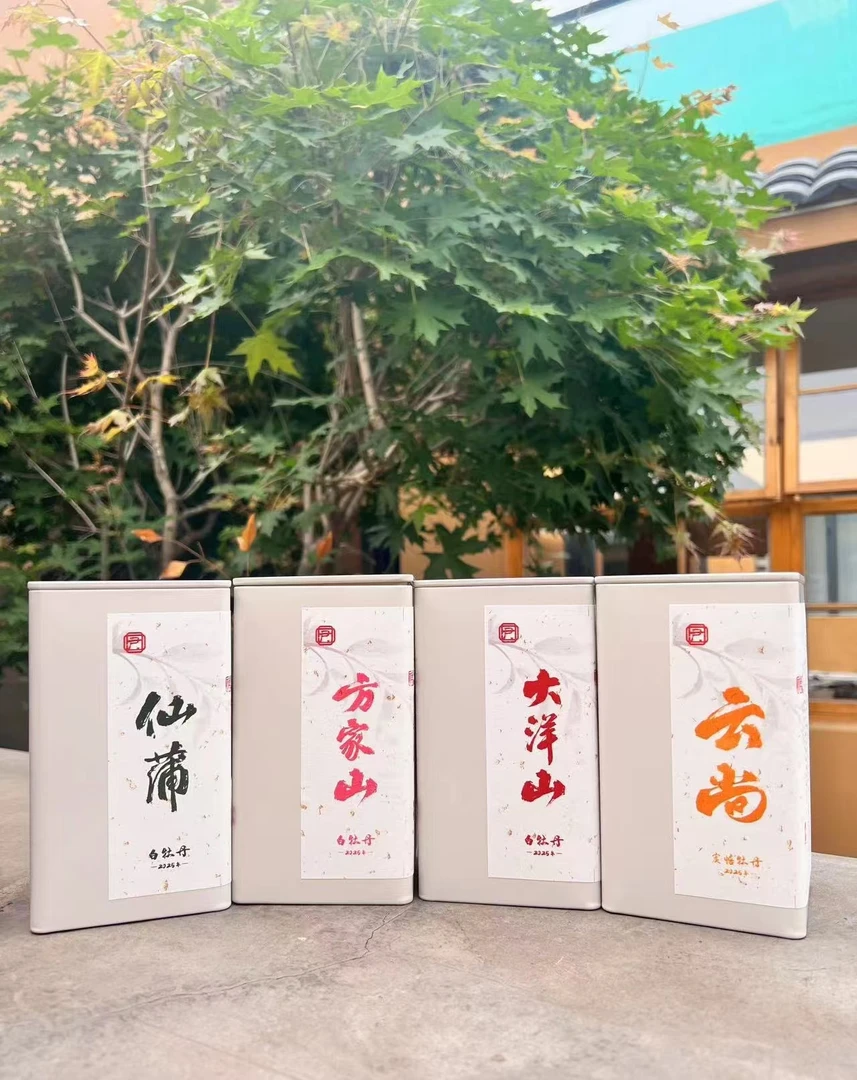 老尹家的茶 2025年【牡丹】白茶牡丹