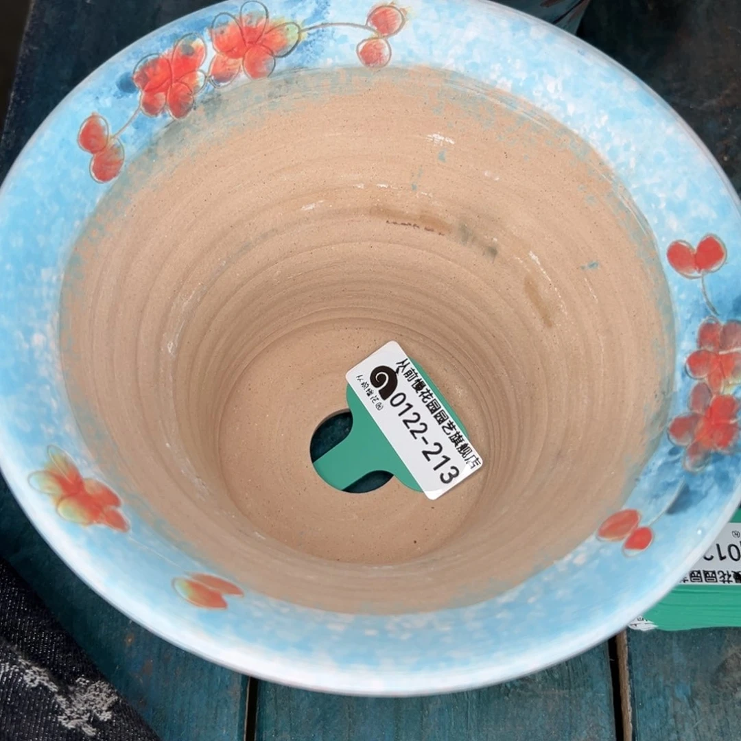 飞**天多肉精选编号0122.213