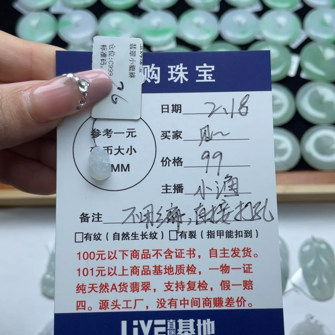 翡翠颈饰未镶嵌貔貅
